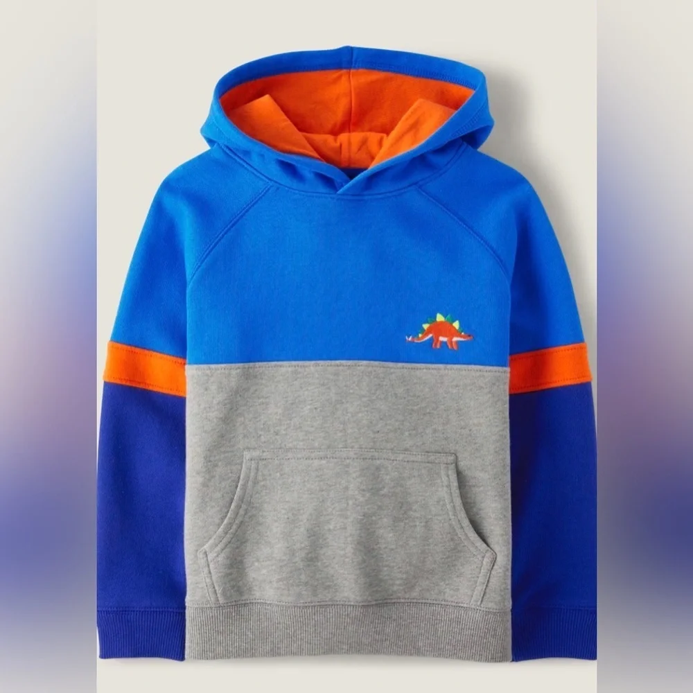 Gymboree Boys Dino Colorblock Fleece Hoodie - Dino Friends